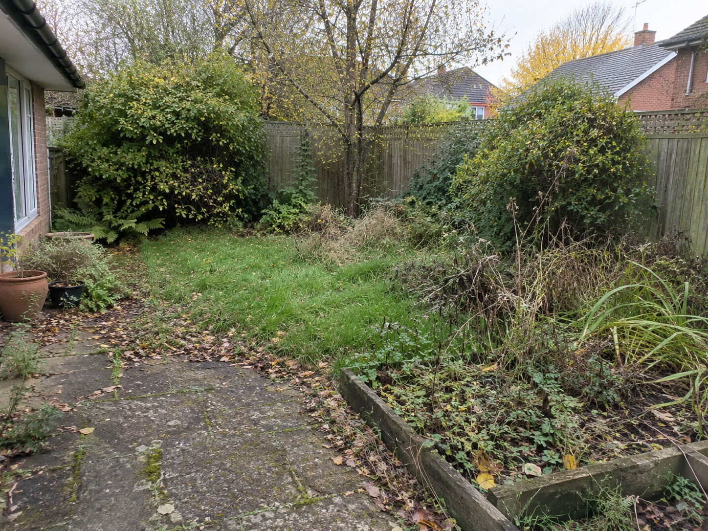 Overgrown garden before clean-up work